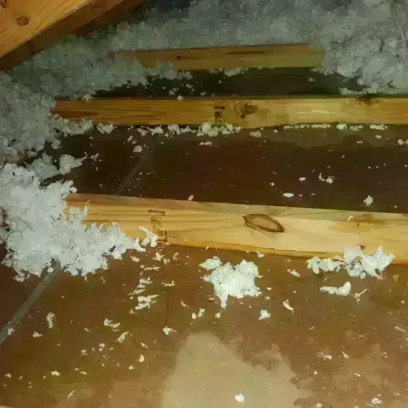 Attic Water Damage in Van Lear, KY